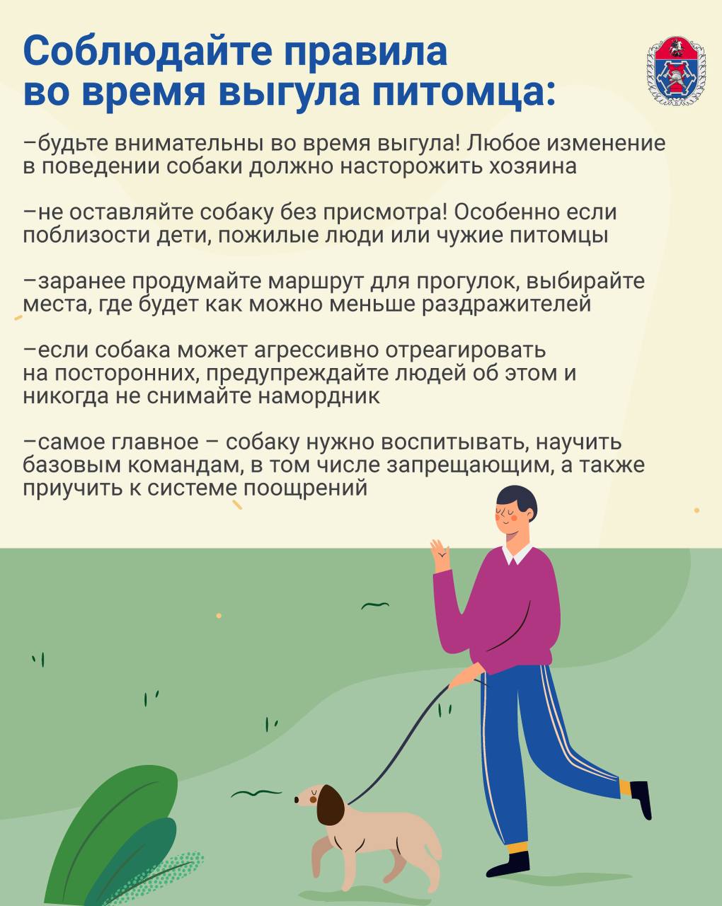 Правила выгула питомца
