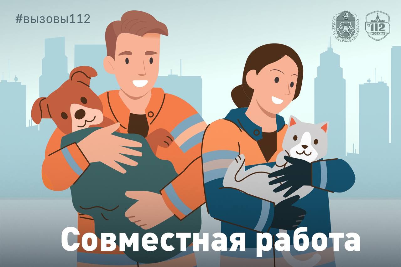 Два спасателя с котами
