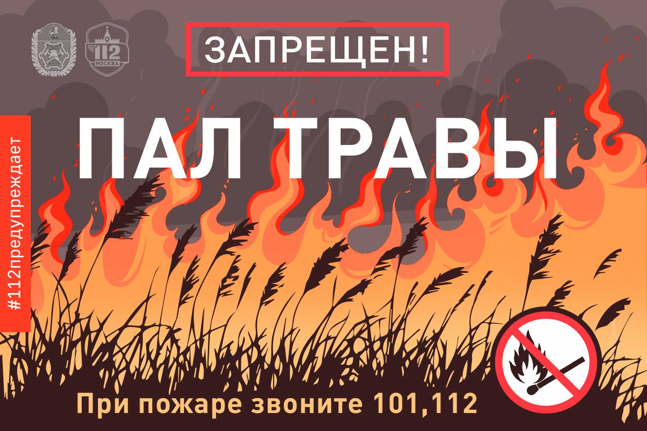 Пал травы