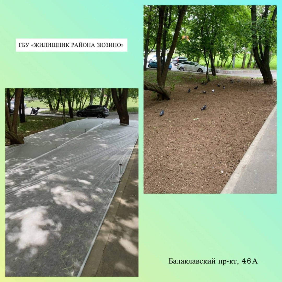 Балаклавский пр-кт, 46А
